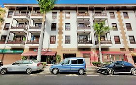 The Stylish Apartment
